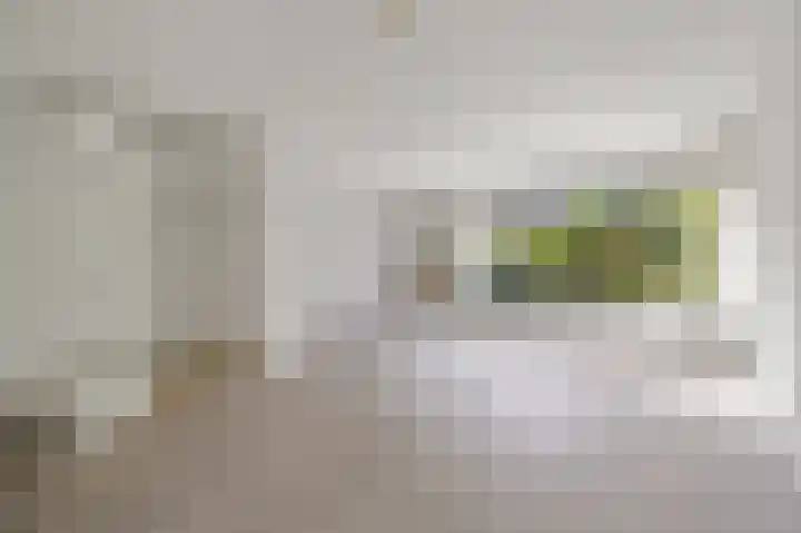 Steurendaal 39 Den Haag thumbnail 5