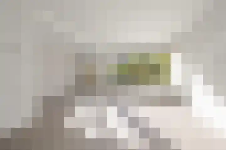 Steurendaal 39 Den Haag thumbnail 6