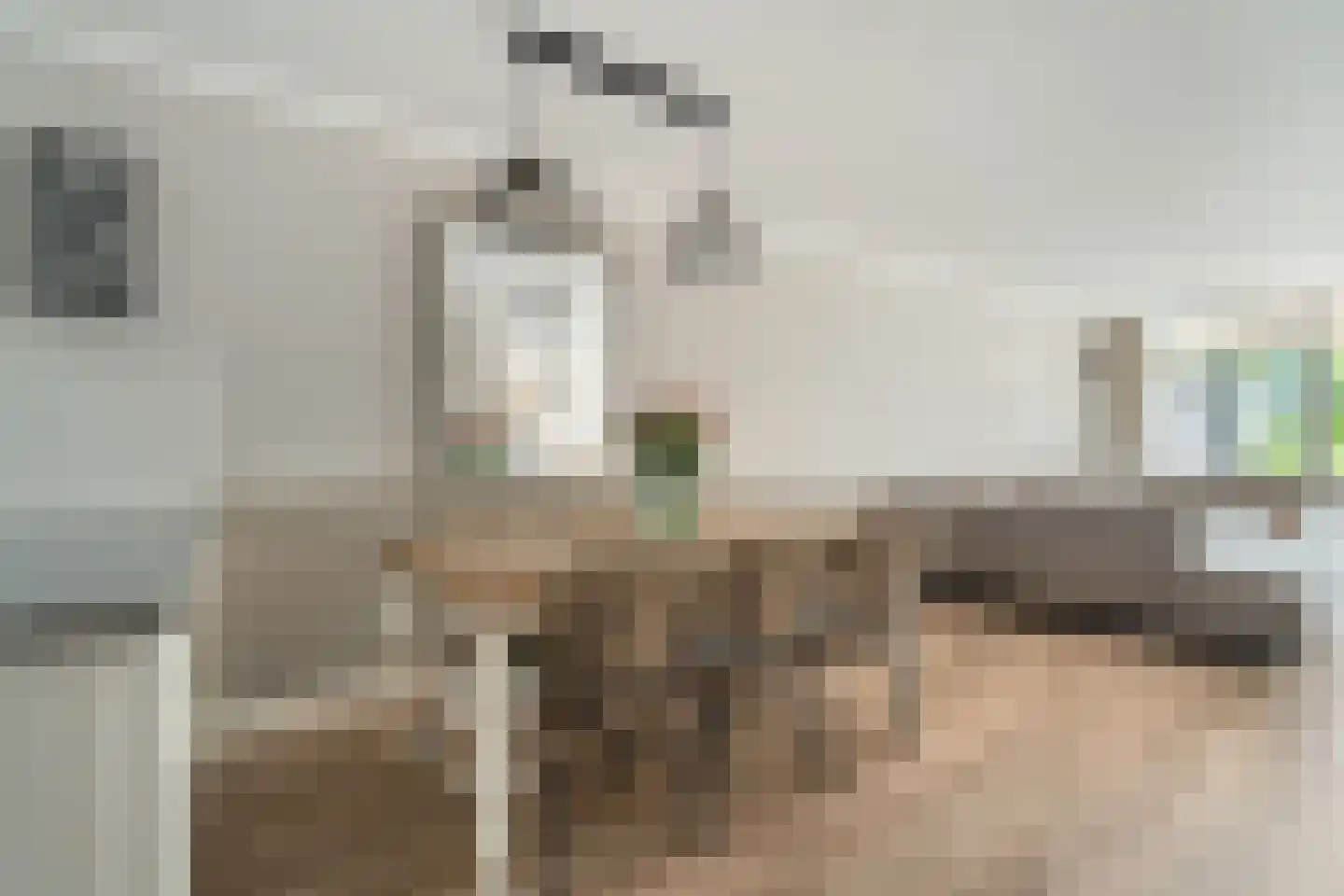 Steurendaal 66 Den Haag thumbnail 8