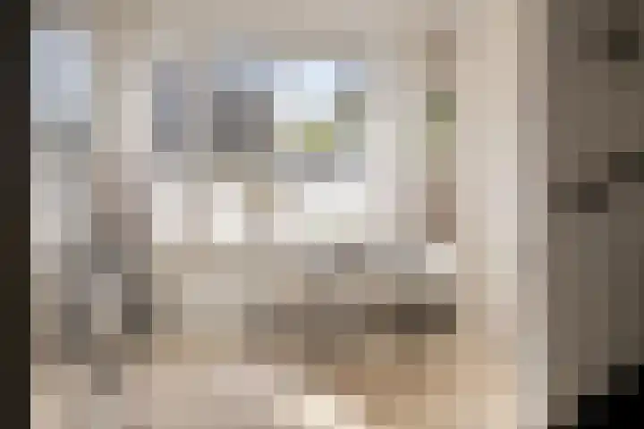Steurhof 8 Hoogvliet Rotterdam thumbnail 10