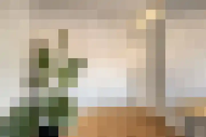 Steurhof 8 Hoogvliet Rotterdam thumbnail 19