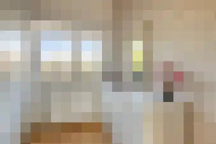 Steurhof 8 Hoogvliet Rotterdam thumbnail 21