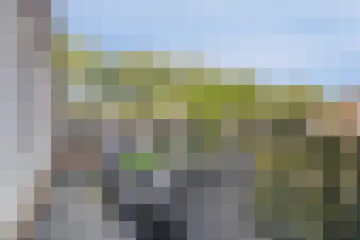 Steurhof 8 Hoogvliet Rotterdam thumbnail 30