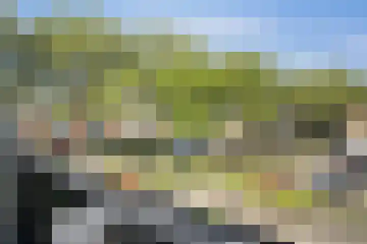 Steurhof 8 Hoogvliet Rotterdam thumbnail 32