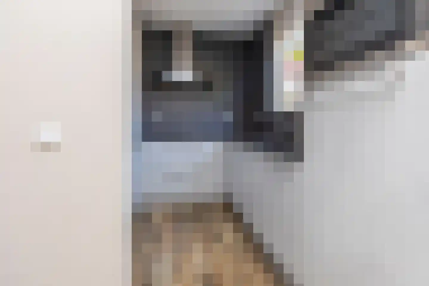 Steurkreek 22 Spijkenisse thumbnail 19