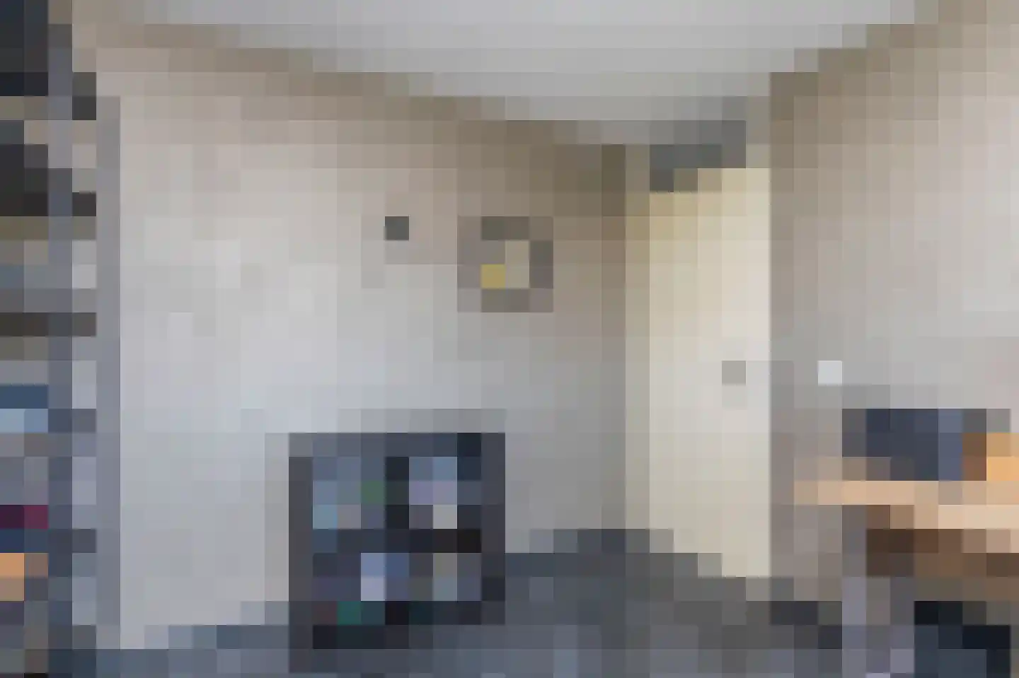 Steurkreek 22 Spijkenisse thumbnail 30