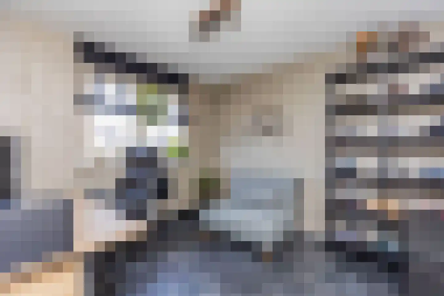 Steurkreek 22 Spijkenisse thumbnail 31