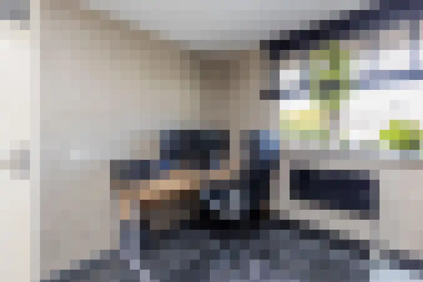 Steurkreek 22 Spijkenisse thumbnail 32