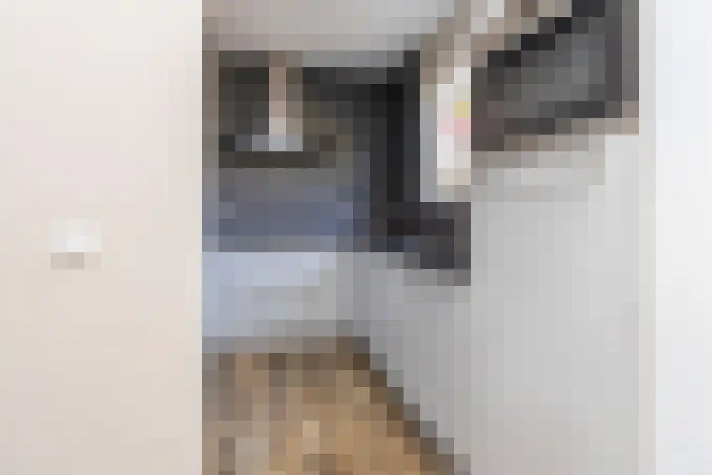 Steurkreek 22 Spijkenisse thumbnail 4