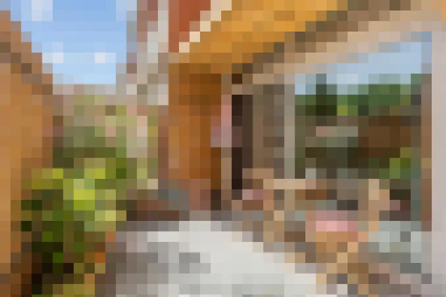 Steursloot 12 Zoetermeer thumbnail 13