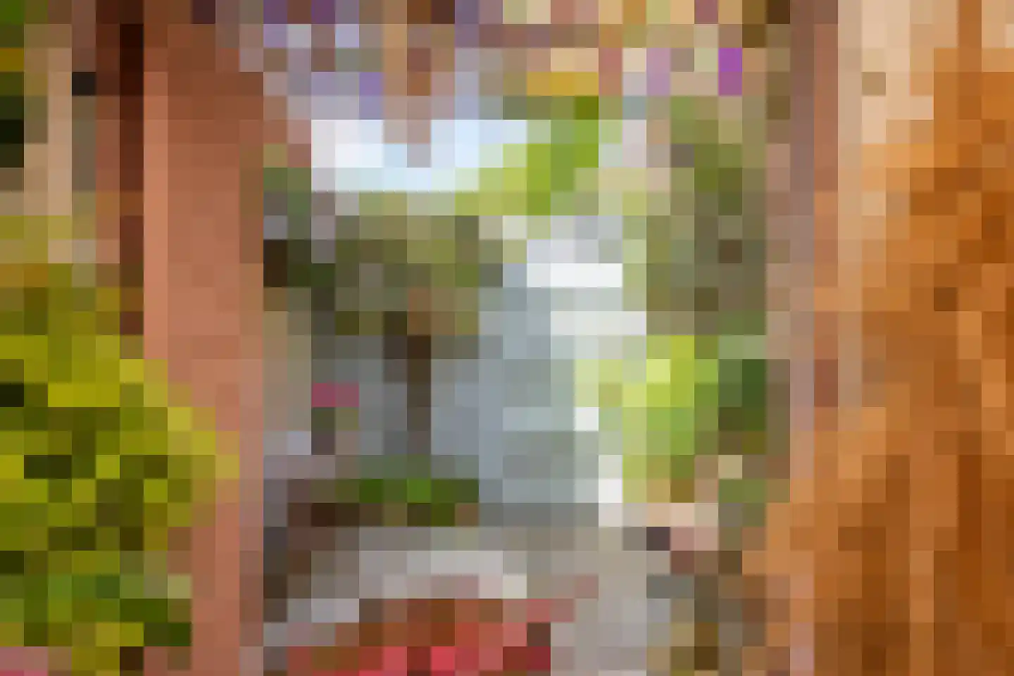 Steursloot 12 Zoetermeer thumbnail 35