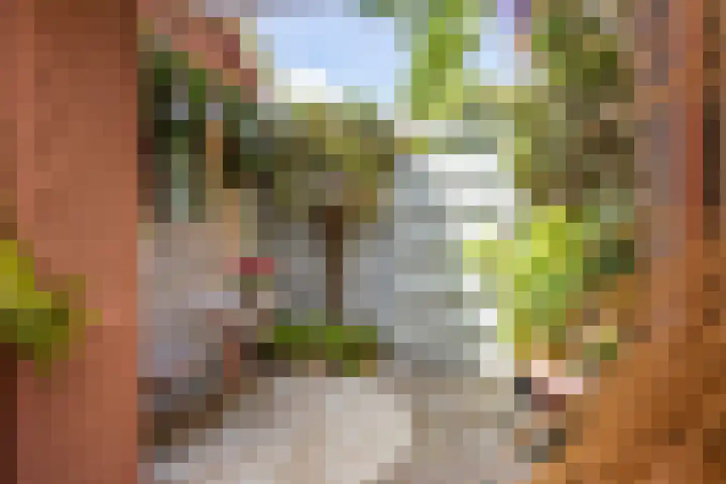 Steursloot 12 Zoetermeer thumbnail 9