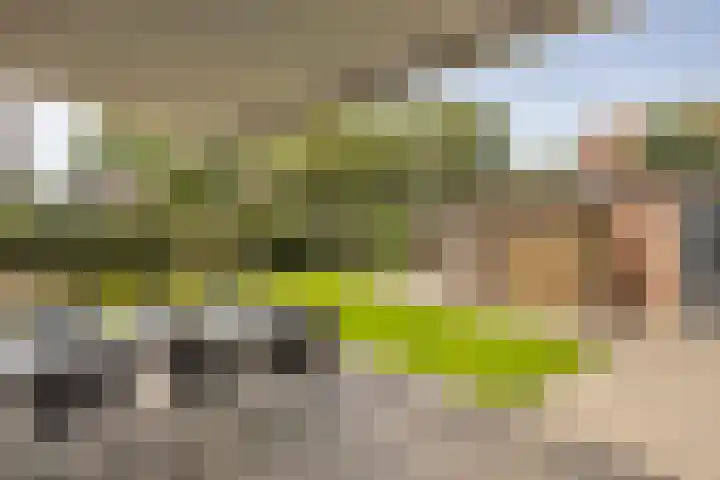 Steurstraat 11 Woudrichem thumbnail 15