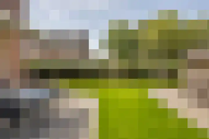 Steurstraat 11 Woudrichem thumbnail 16