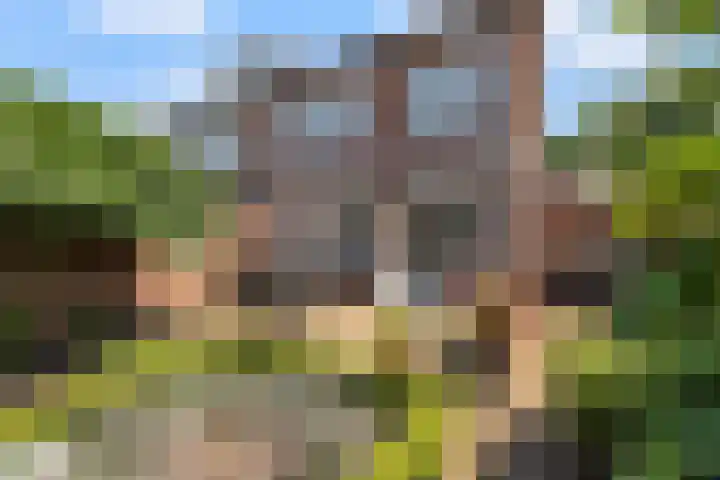 Steurstraat 13 Helmond thumbnail 38