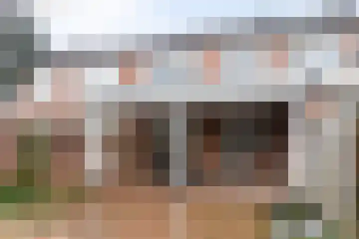 Steurstraat 17 Helmond thumbnail 31