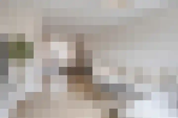 Steurstraat 17 Helmond thumbnail 5