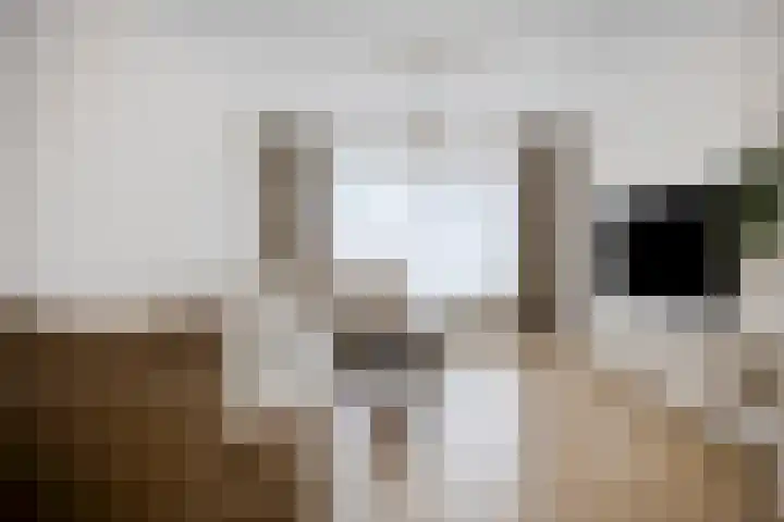 Steurstraat 17 Helmond thumbnail 6