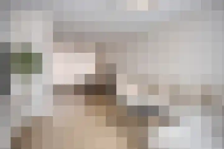 Steurstraat 17 Helmond thumbnail 8