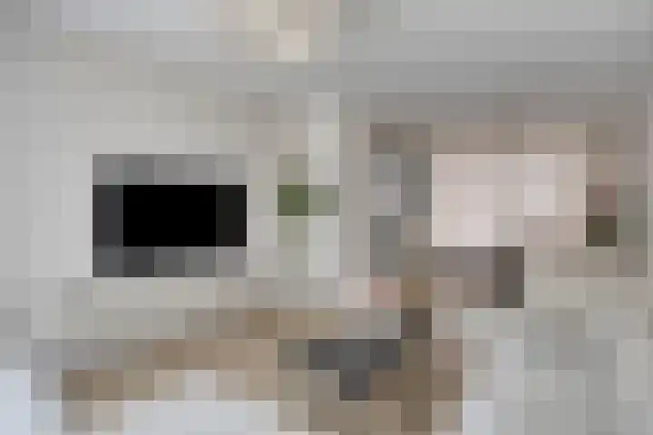 Steurstraat 17 Helmond thumbnail 9