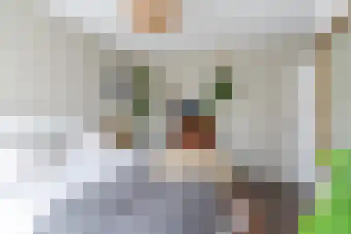 Steurstraat 21 Helmond thumbnail 24