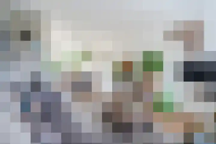 Steurstraat 21 Helmond thumbnail 9