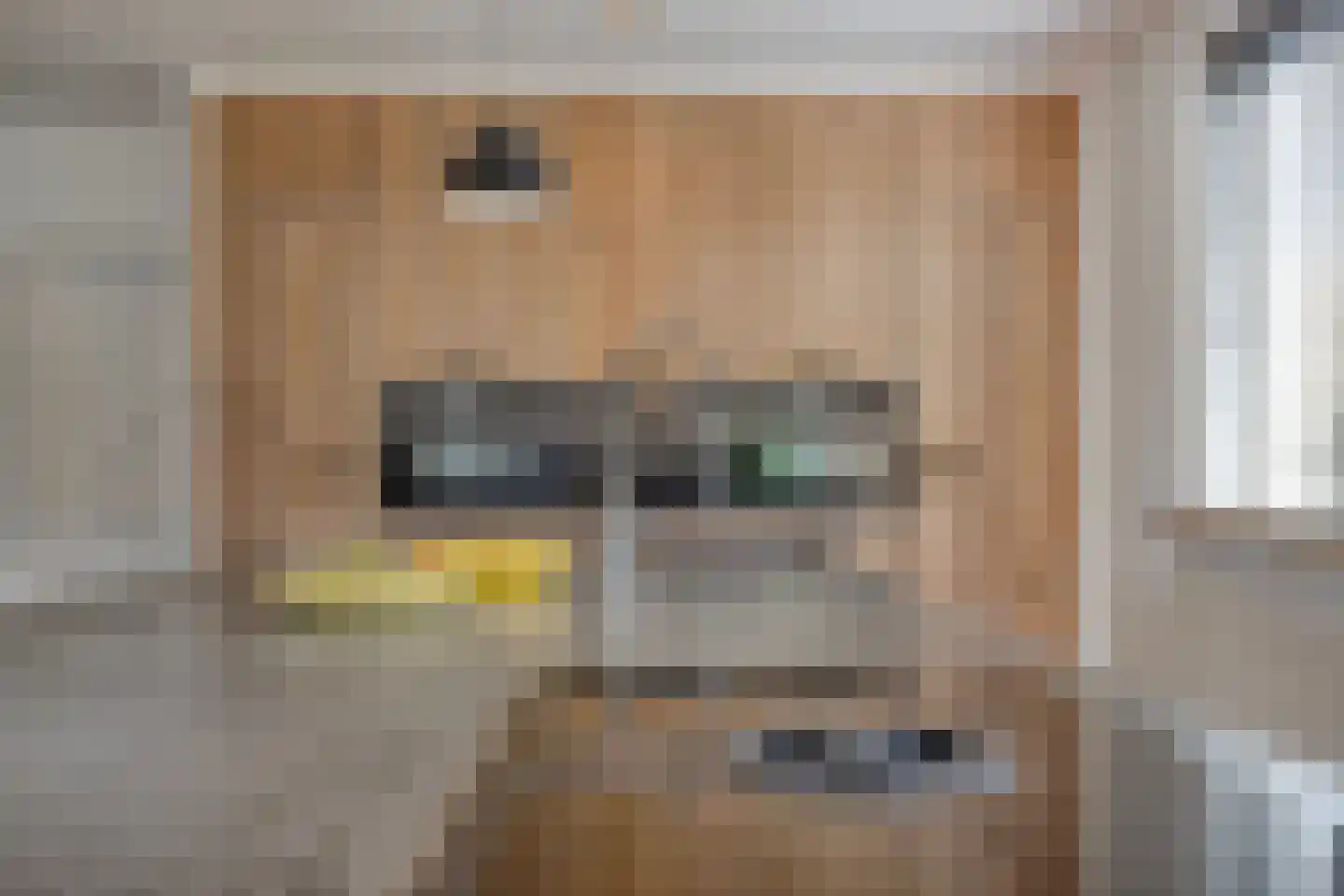Steurswekken 1 Burgh-Haamstede thumbnail 10