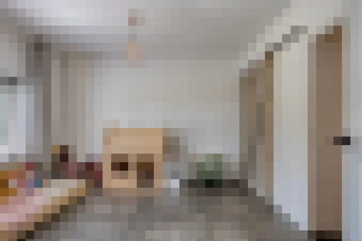 Steurswekken 1 Burgh-Haamstede thumbnail 14
