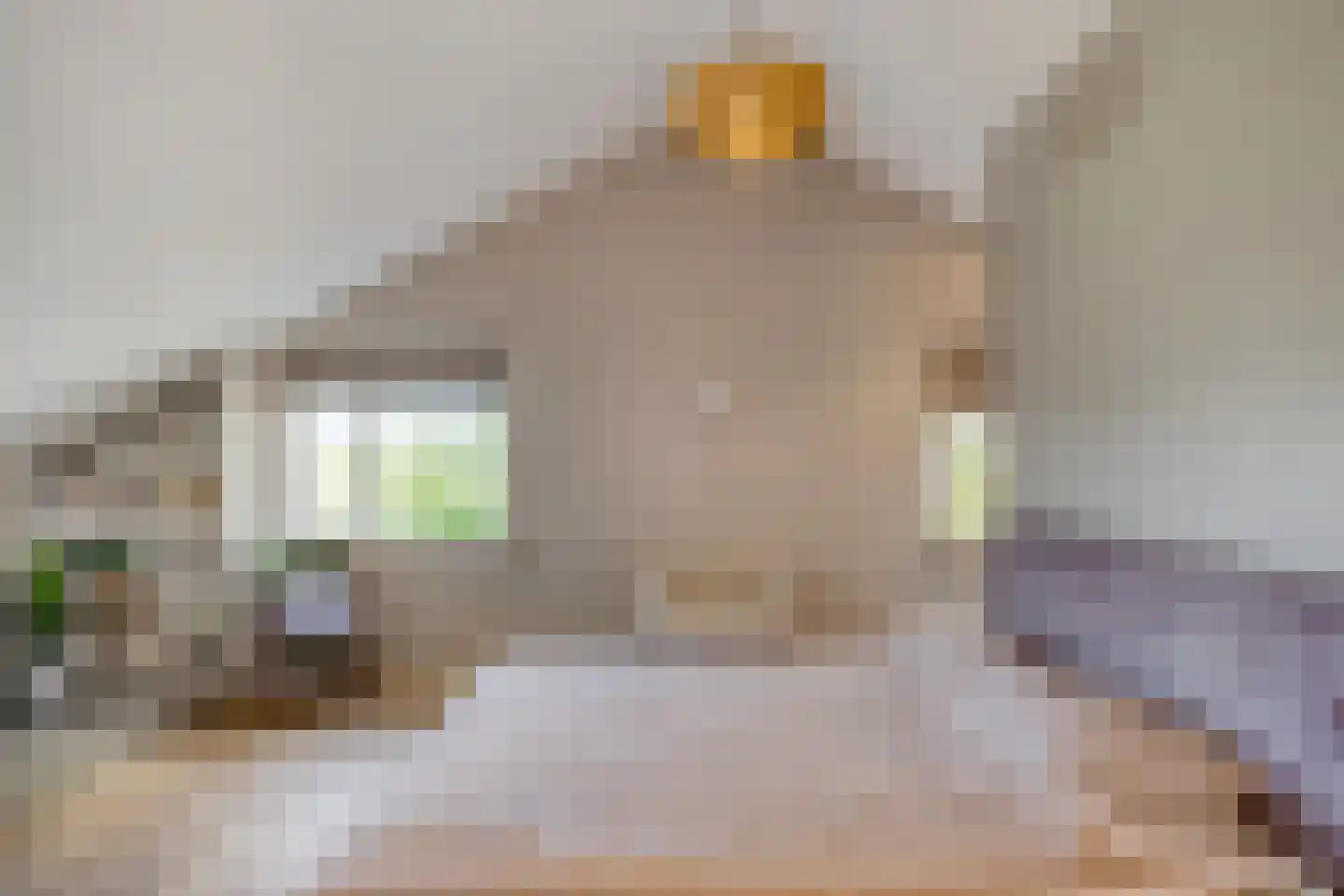 Steurswekken 1 Burgh-Haamstede thumbnail 18