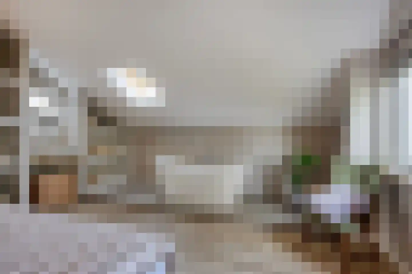 Steurswekken 1 Burgh-Haamstede thumbnail 19