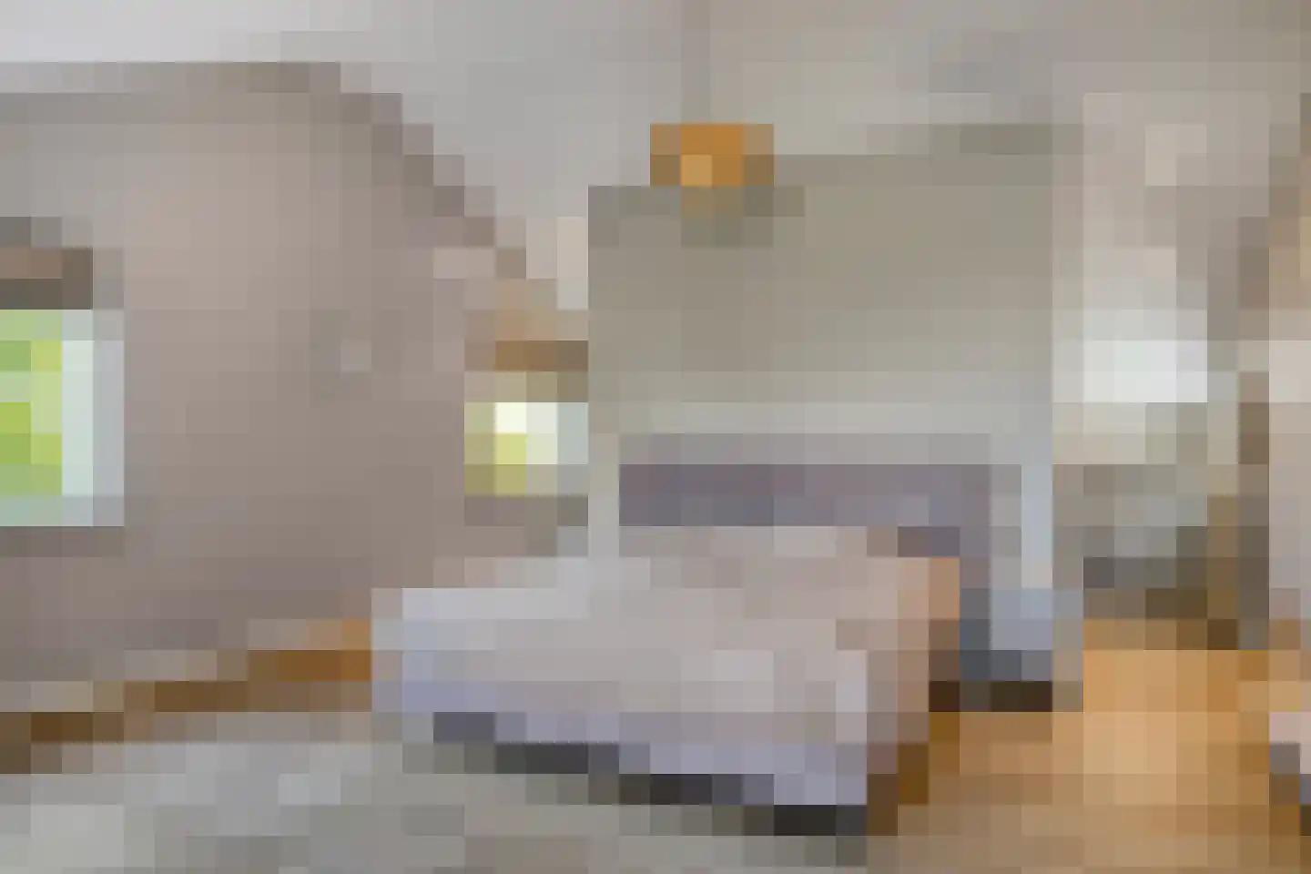 Steurswekken 1 Burgh-Haamstede thumbnail 21
