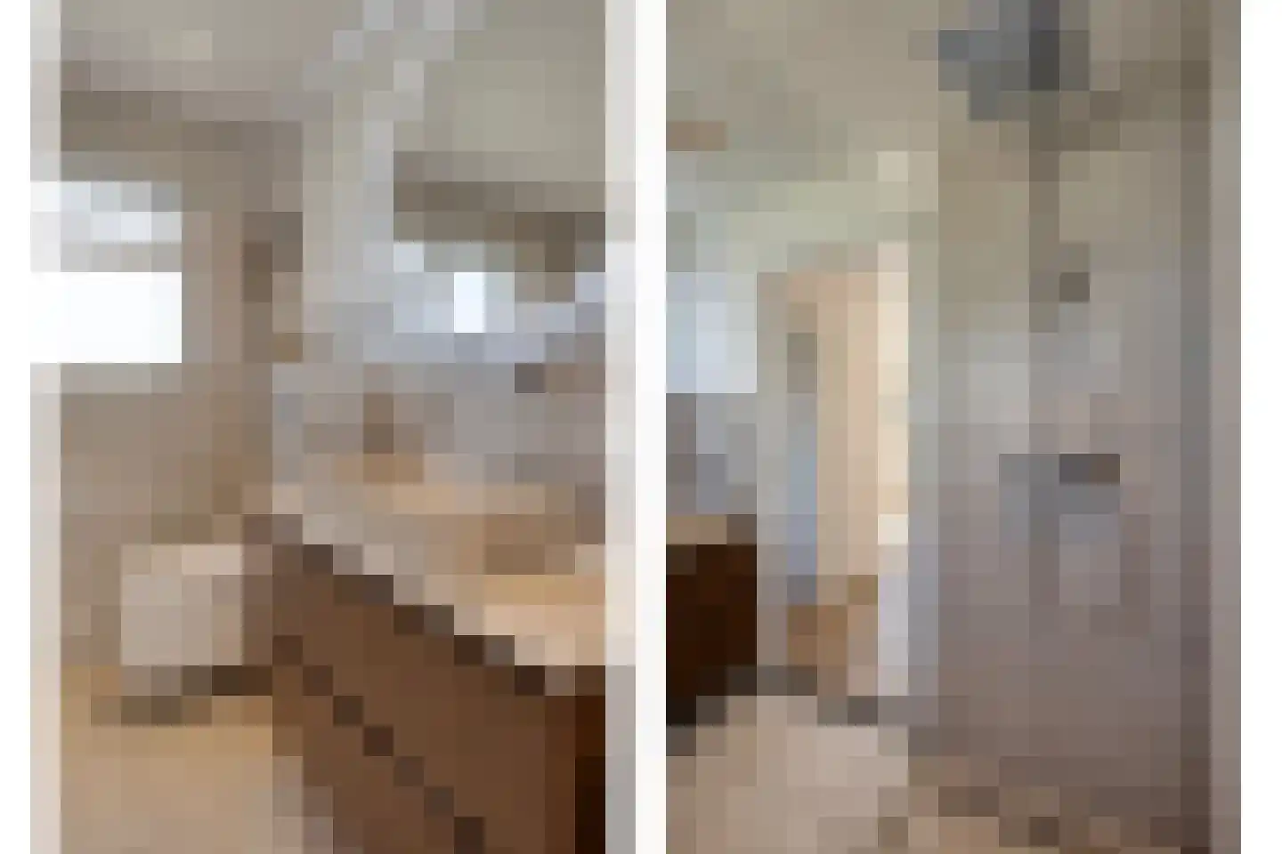 Steurswekken 1 Burgh-Haamstede thumbnail 28