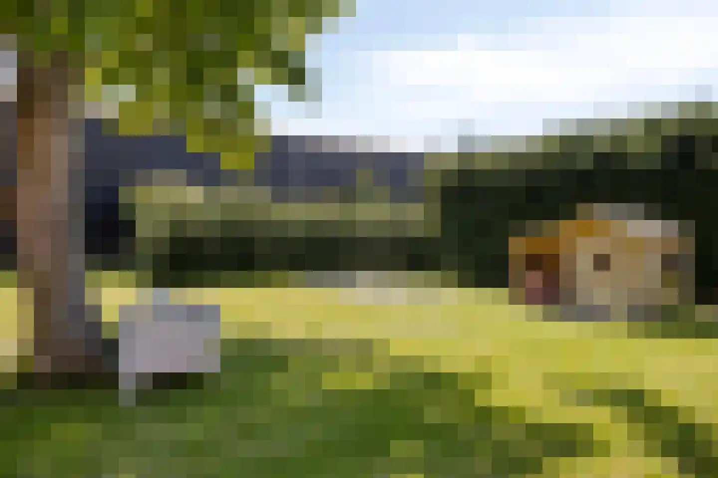 Steurswekken 1 Burgh-Haamstede thumbnail 30