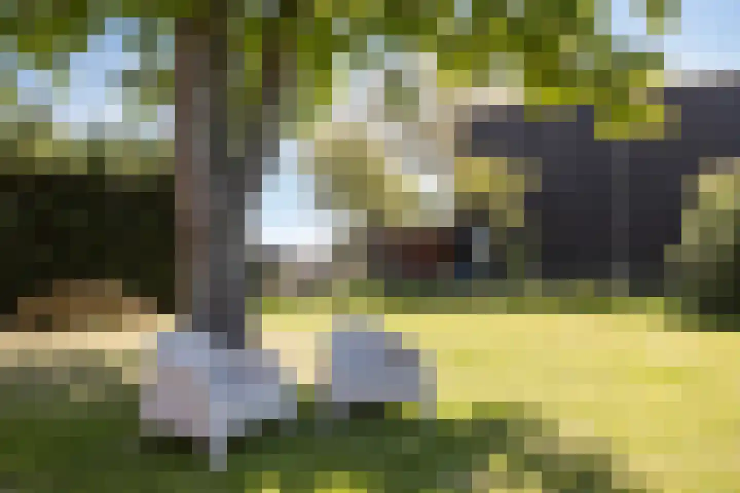 Steurswekken 1 Burgh-Haamstede thumbnail 31