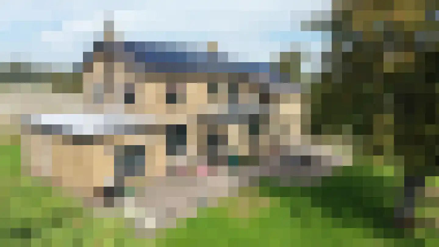 Steurswekken 1 Burgh-Haamstede thumbnail 31