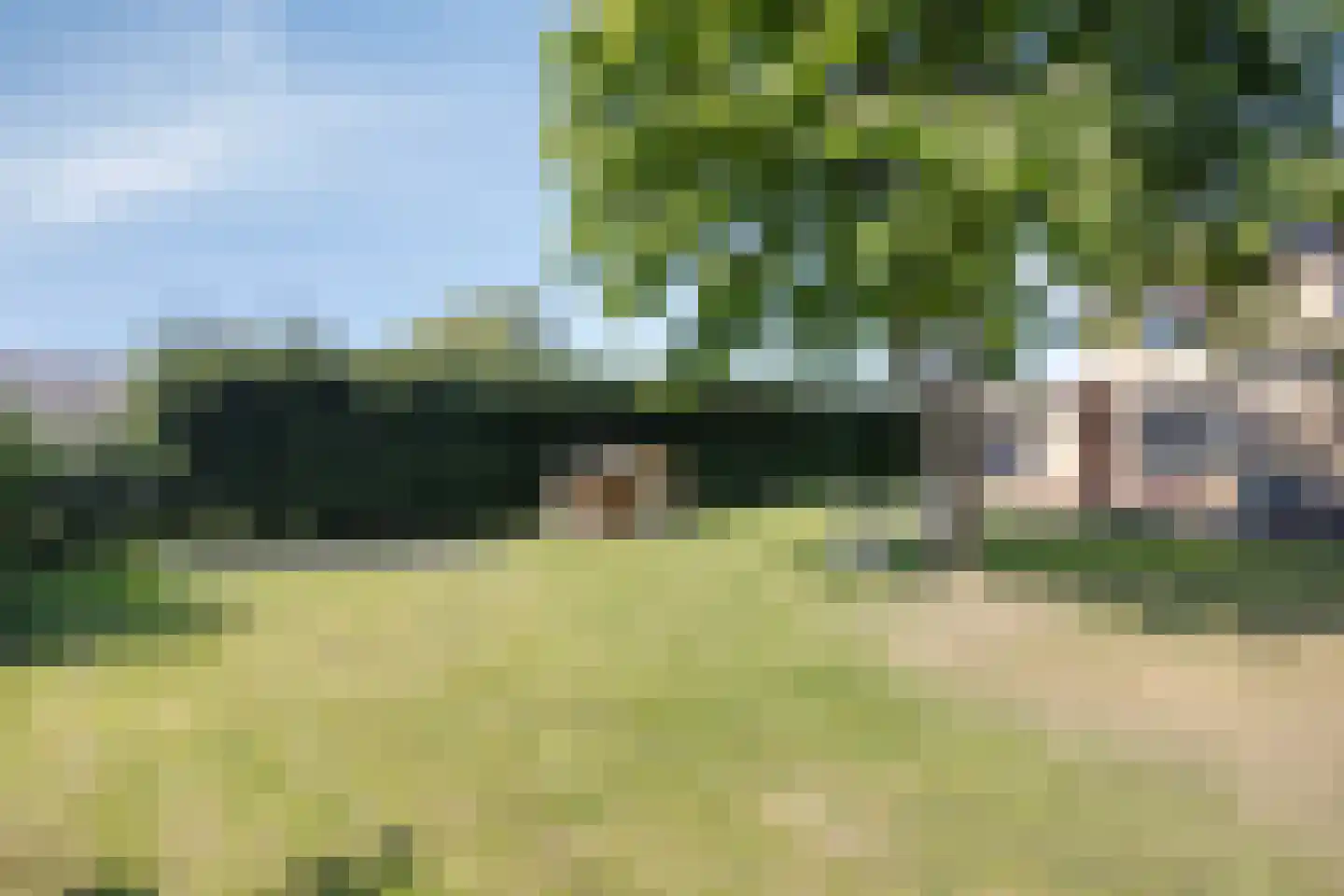 Steurswekken 1 Burgh-Haamstede thumbnail 33