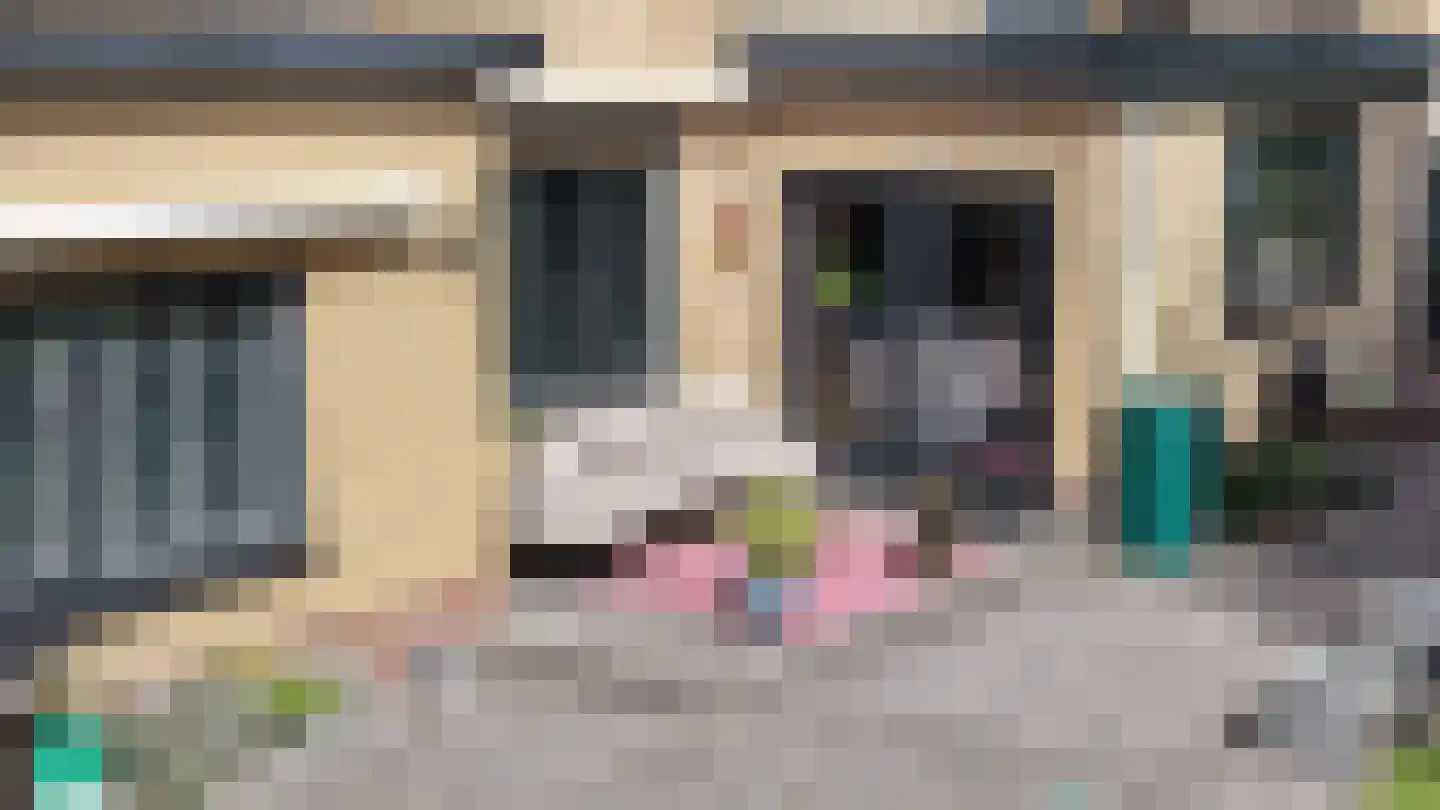 Steurswekken 1 Burgh-Haamstede thumbnail 33