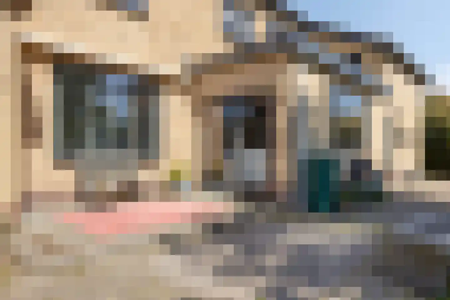 Steurswekken 1 Burgh-Haamstede thumbnail 34