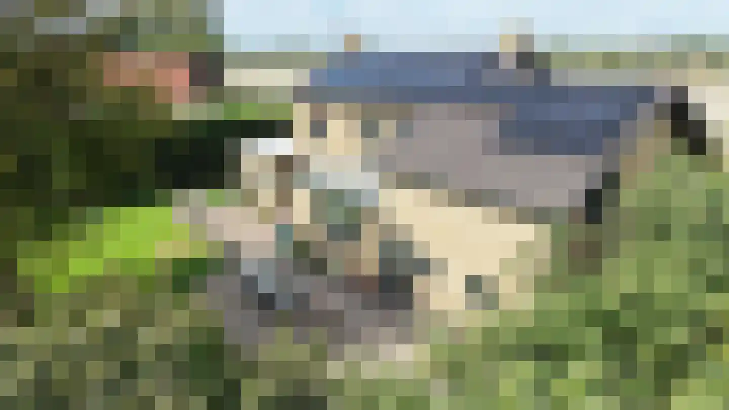 Steurswekken 1 Burgh-Haamstede thumbnail 35