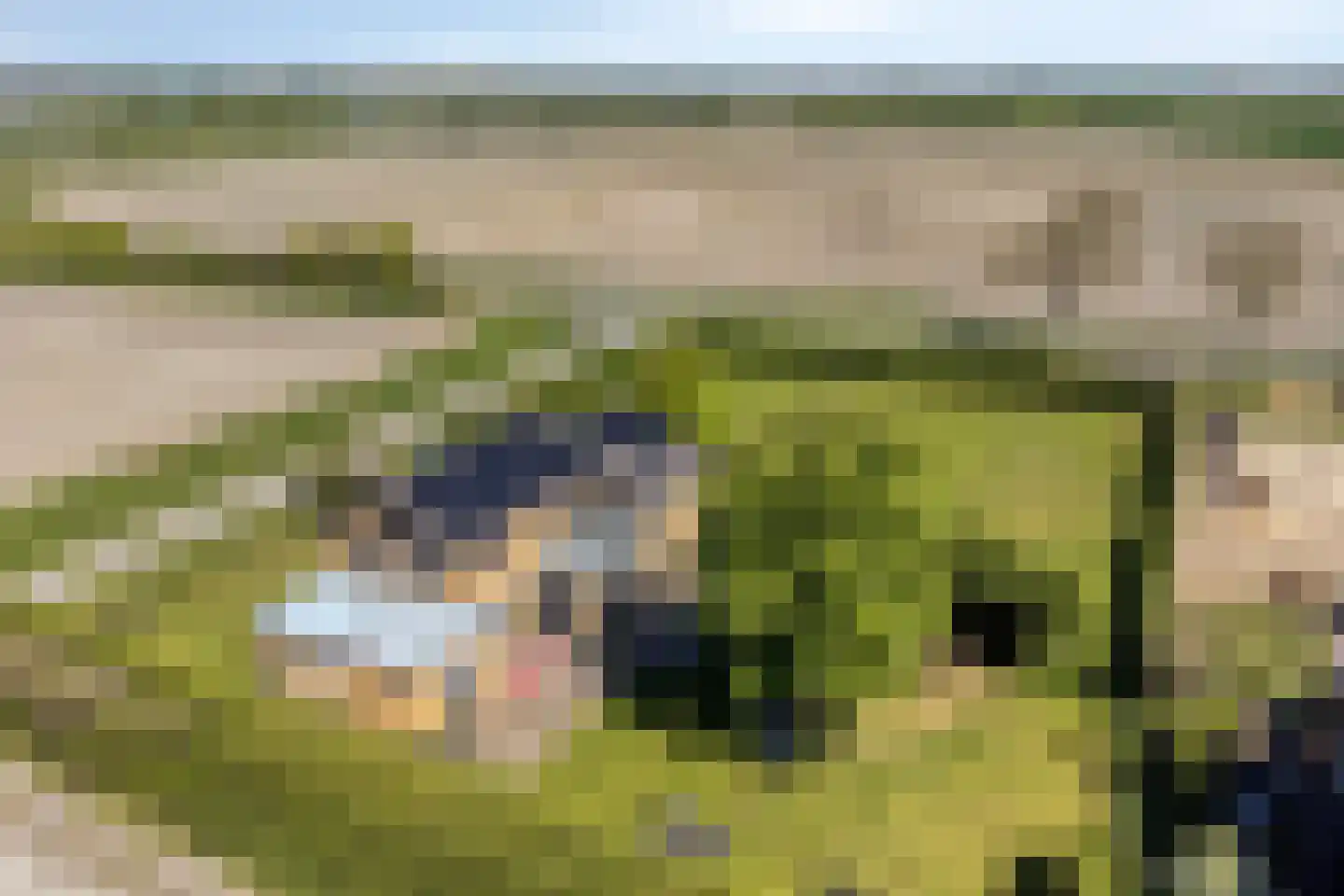 Steurswekken 1 Burgh-Haamstede thumbnail 36