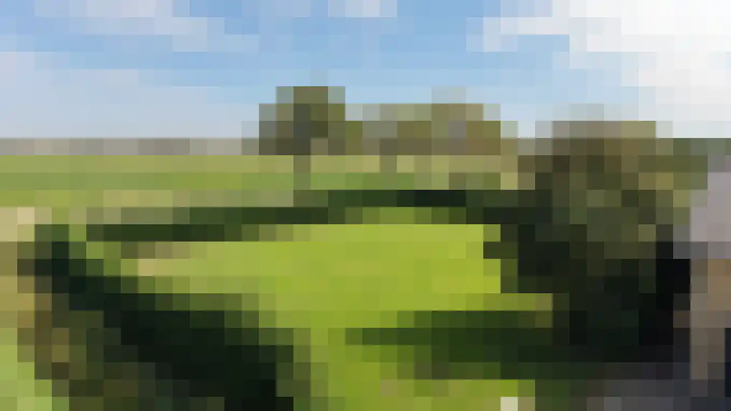 Steurswekken 1 Burgh-Haamstede thumbnail 38