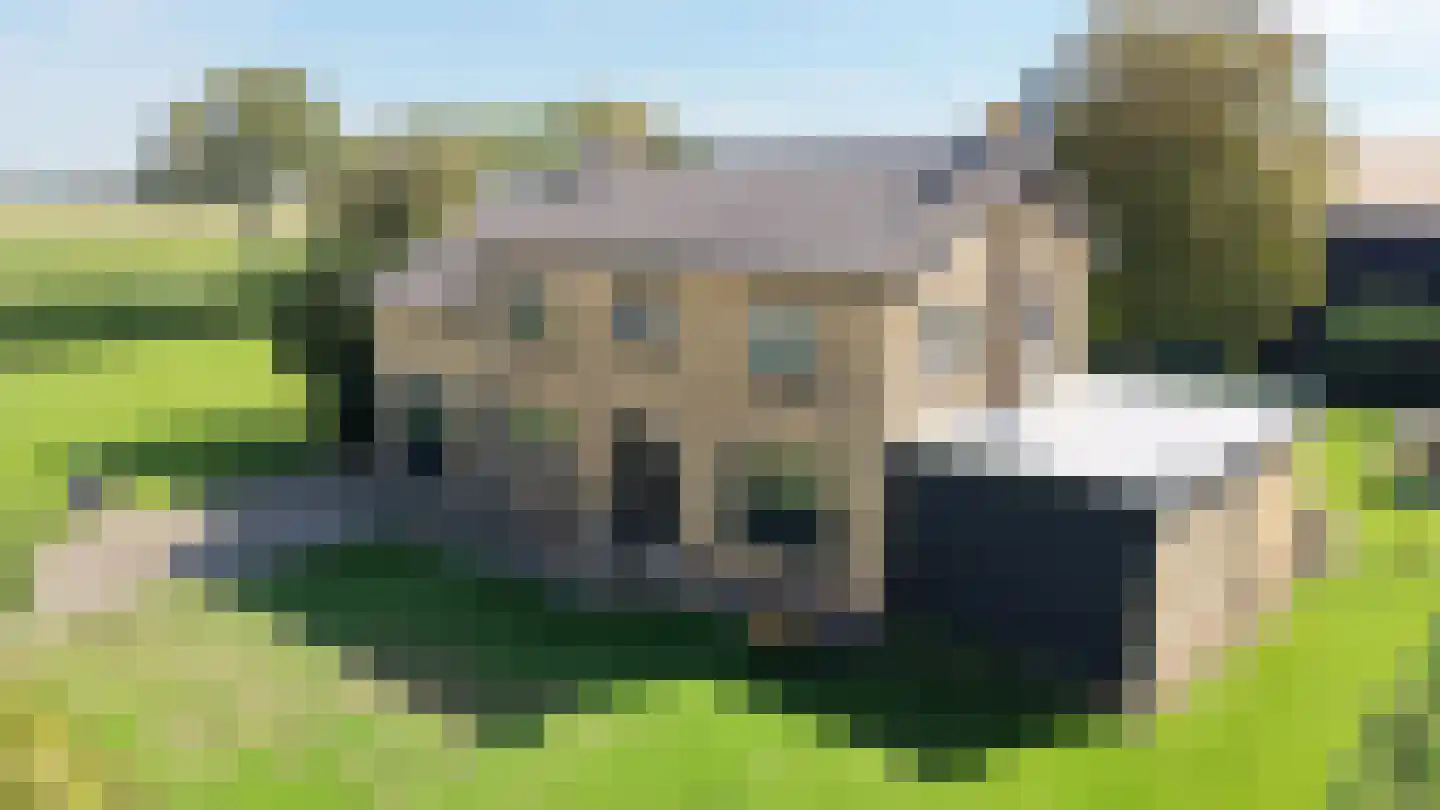 Steurswekken 1 Burgh-Haamstede thumbnail 39