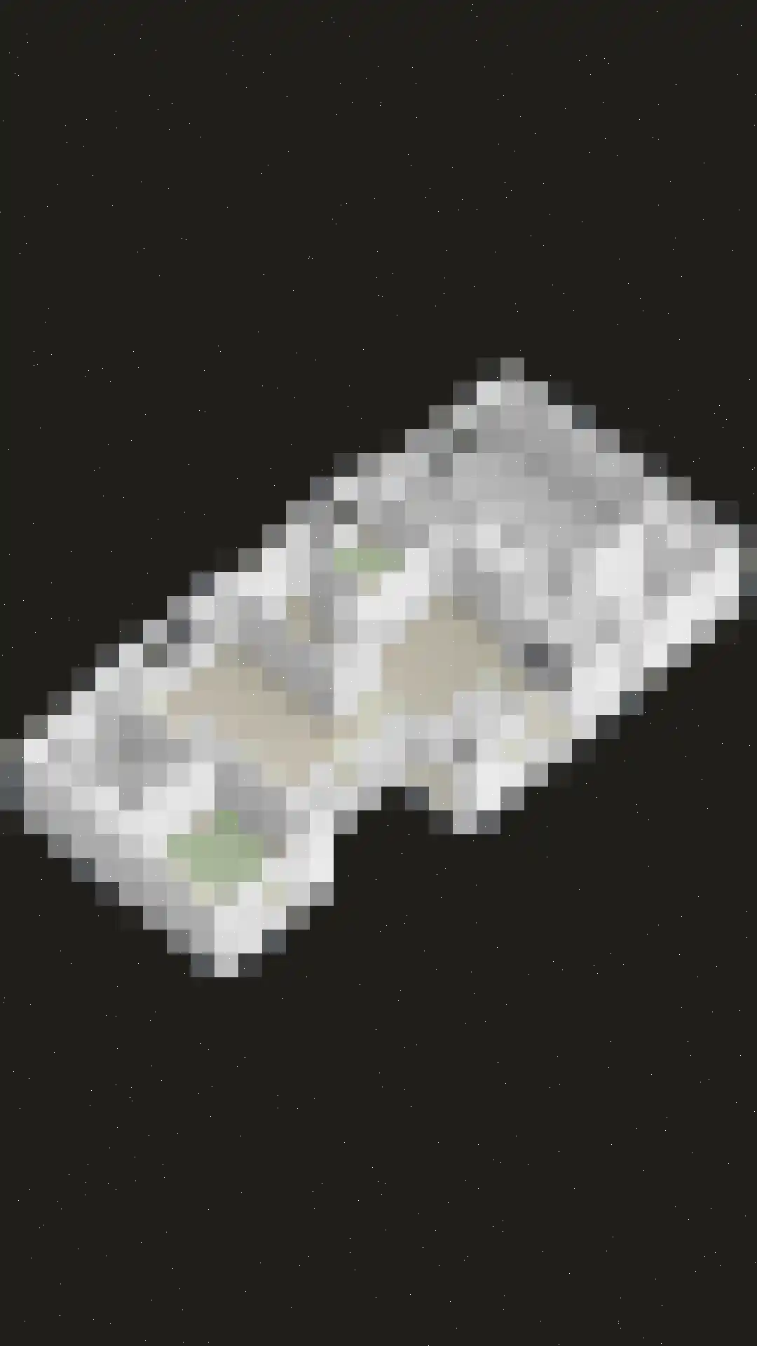 Steurswekken 1 Burgh-Haamstede thumbnail 40