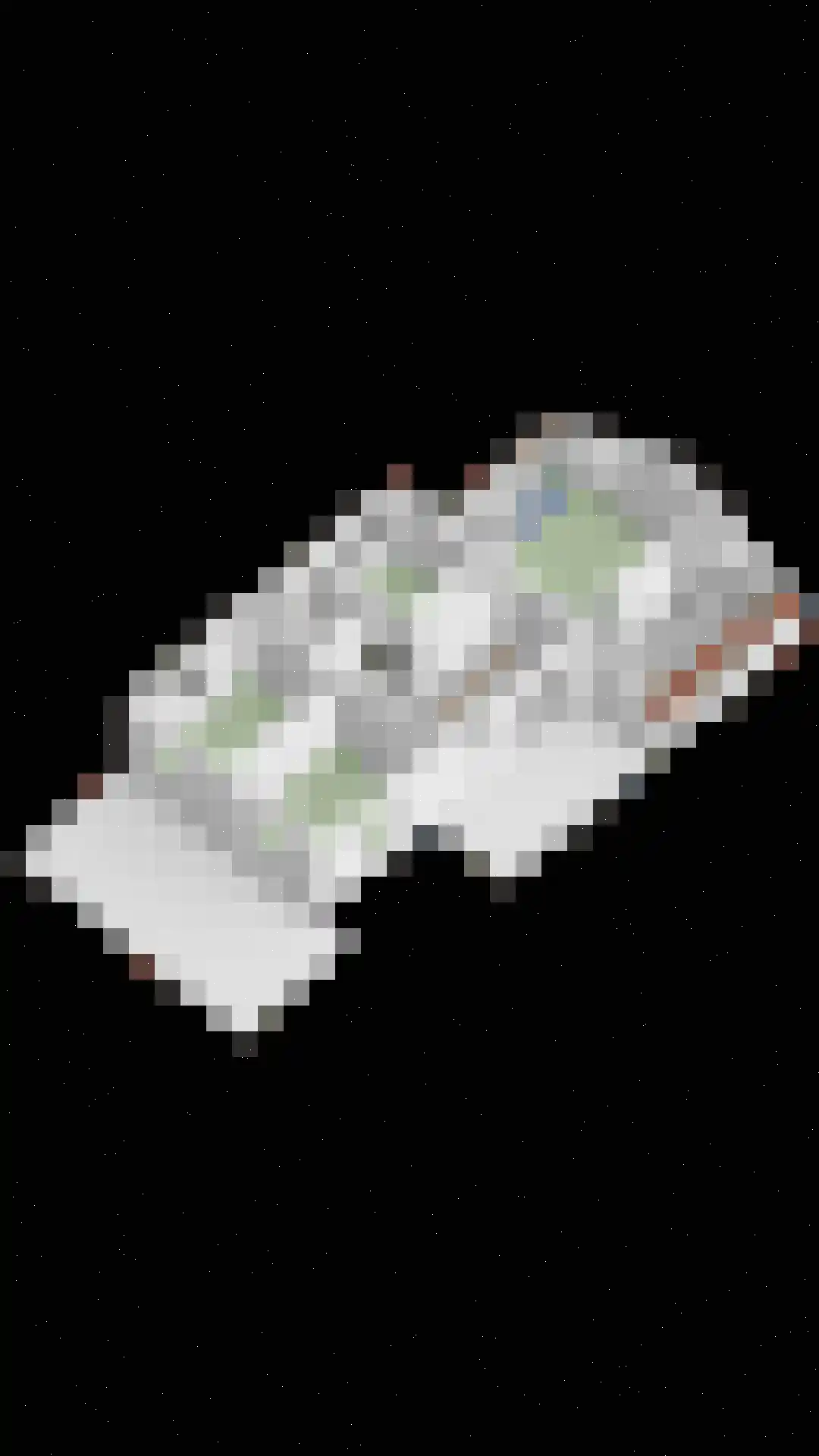Steurswekken 1 Burgh-Haamstede thumbnail 41