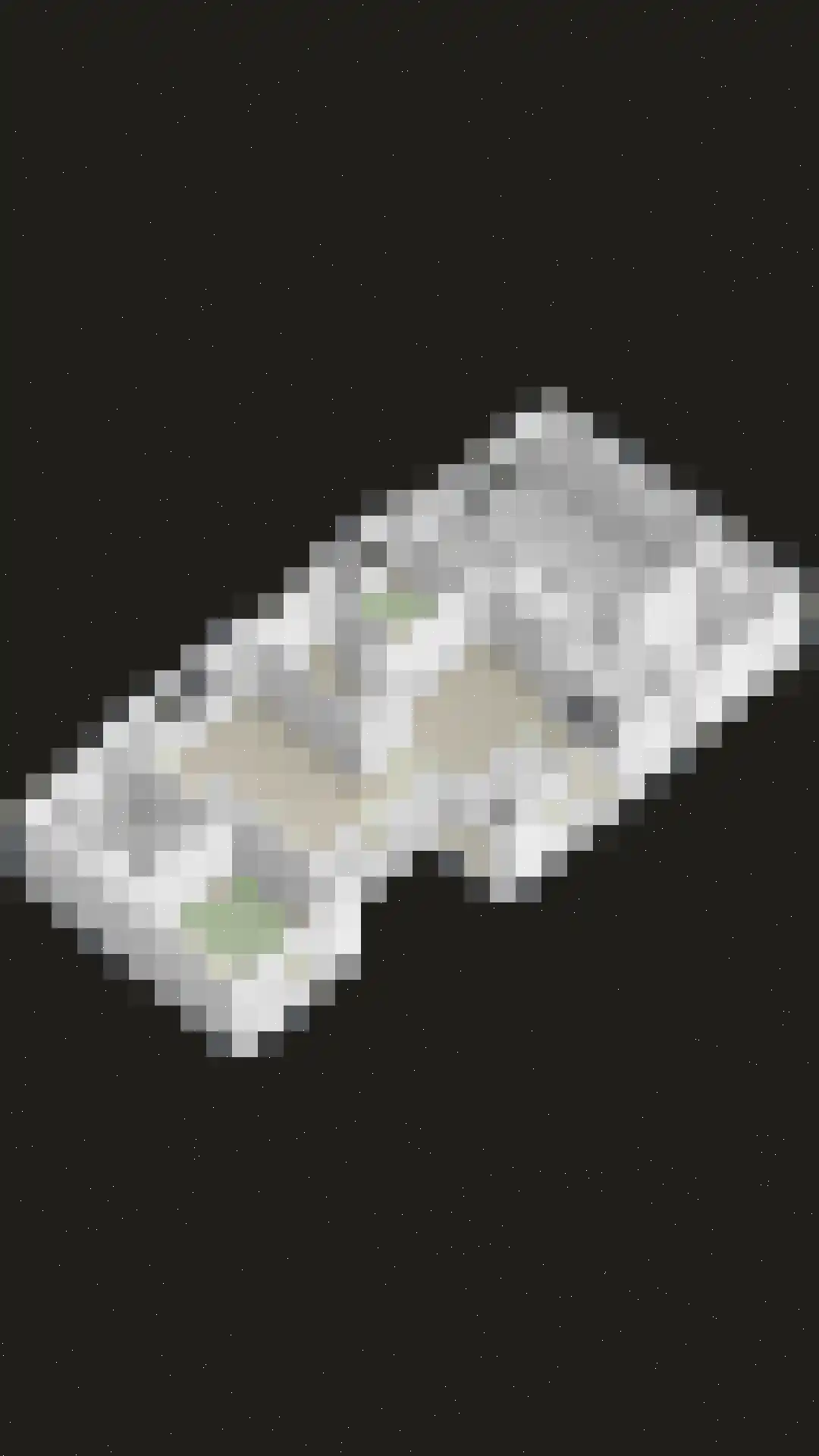 Steurswekken 1 Burgh-Haamstede thumbnail 43