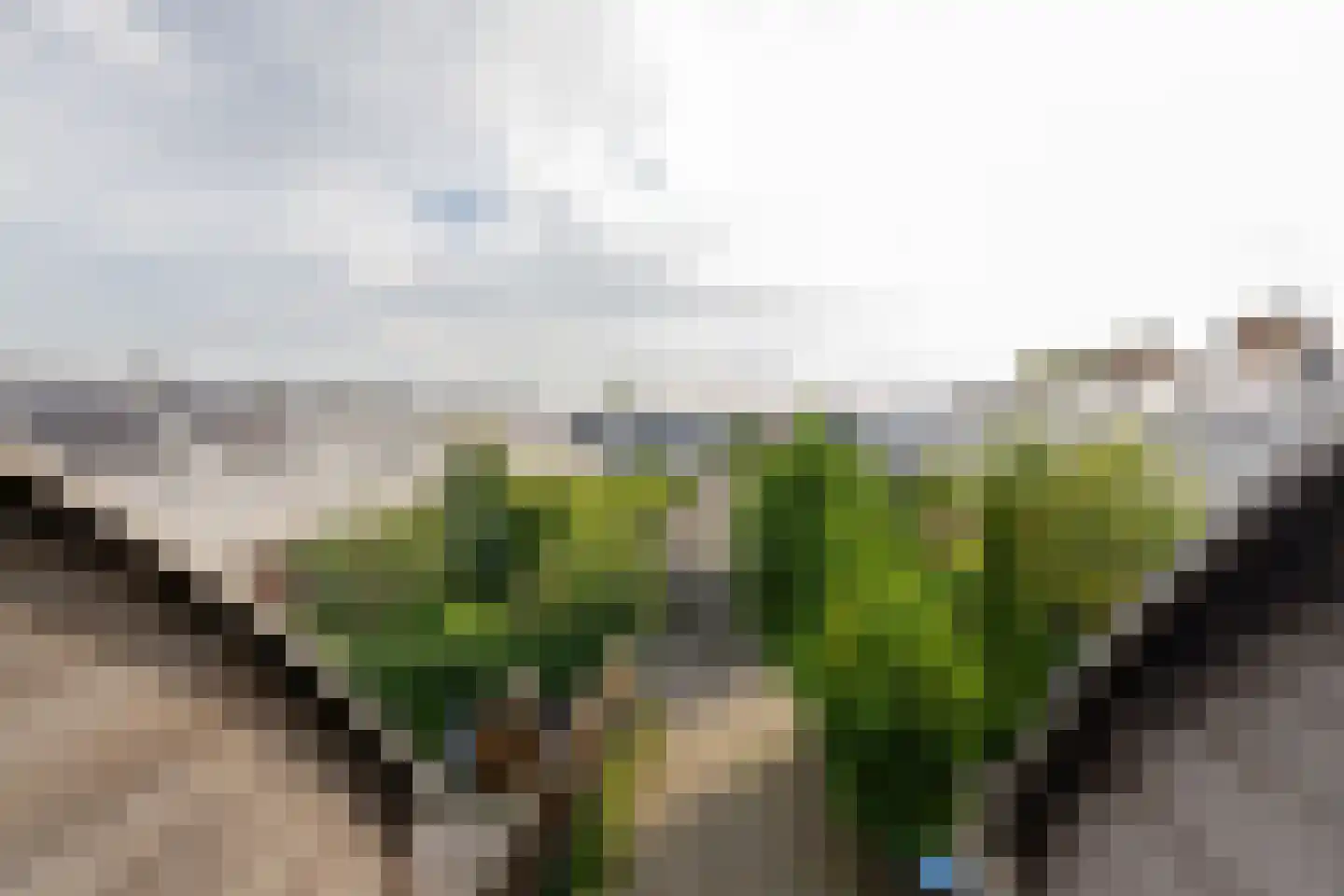 Steurwater 17 Barendrecht thumbnail 30