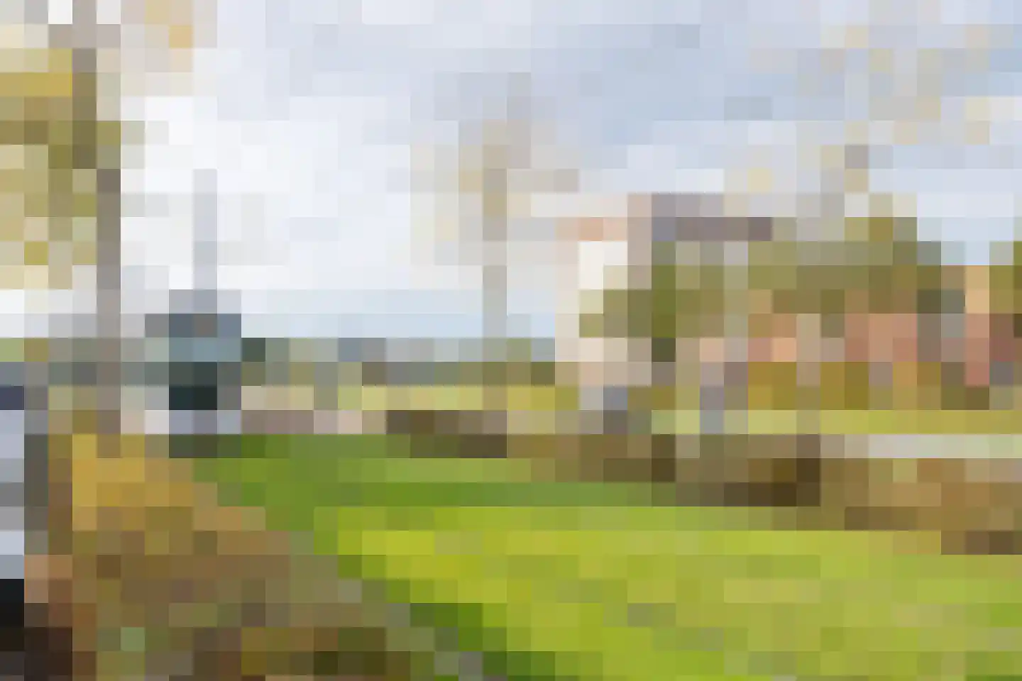 Steurwater 17 Barendrecht thumbnail 39
