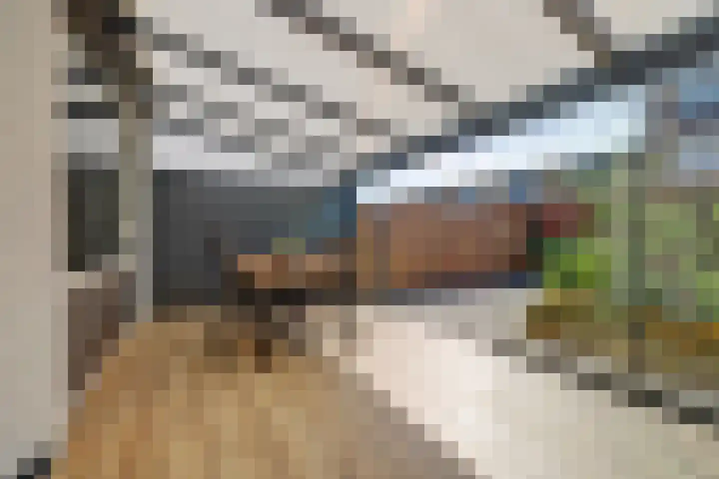 Steurweg 21 Hoogvliet Rotterdam thumbnail 11