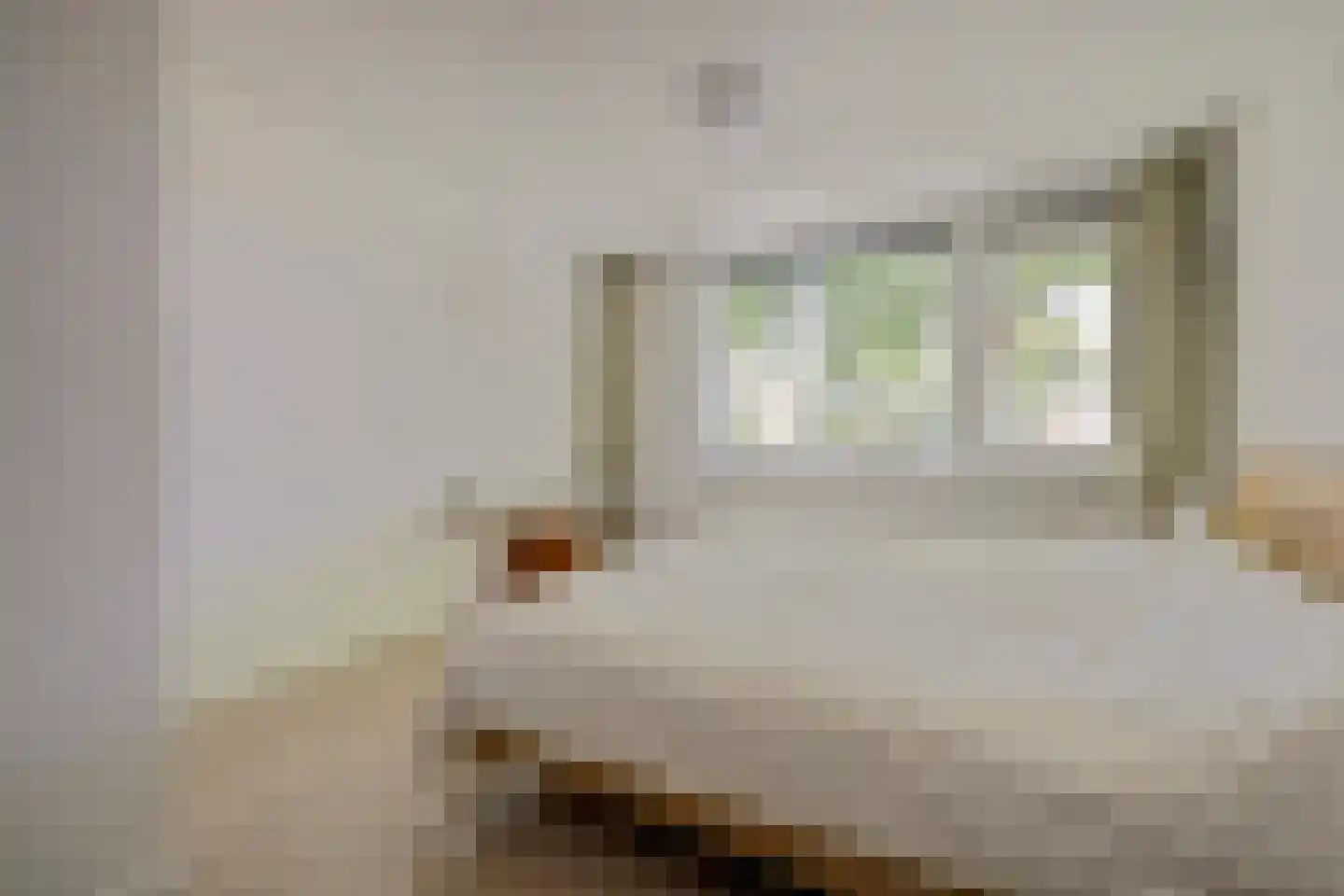 Steurweg 21 Hoogvliet Rotterdam thumbnail 23