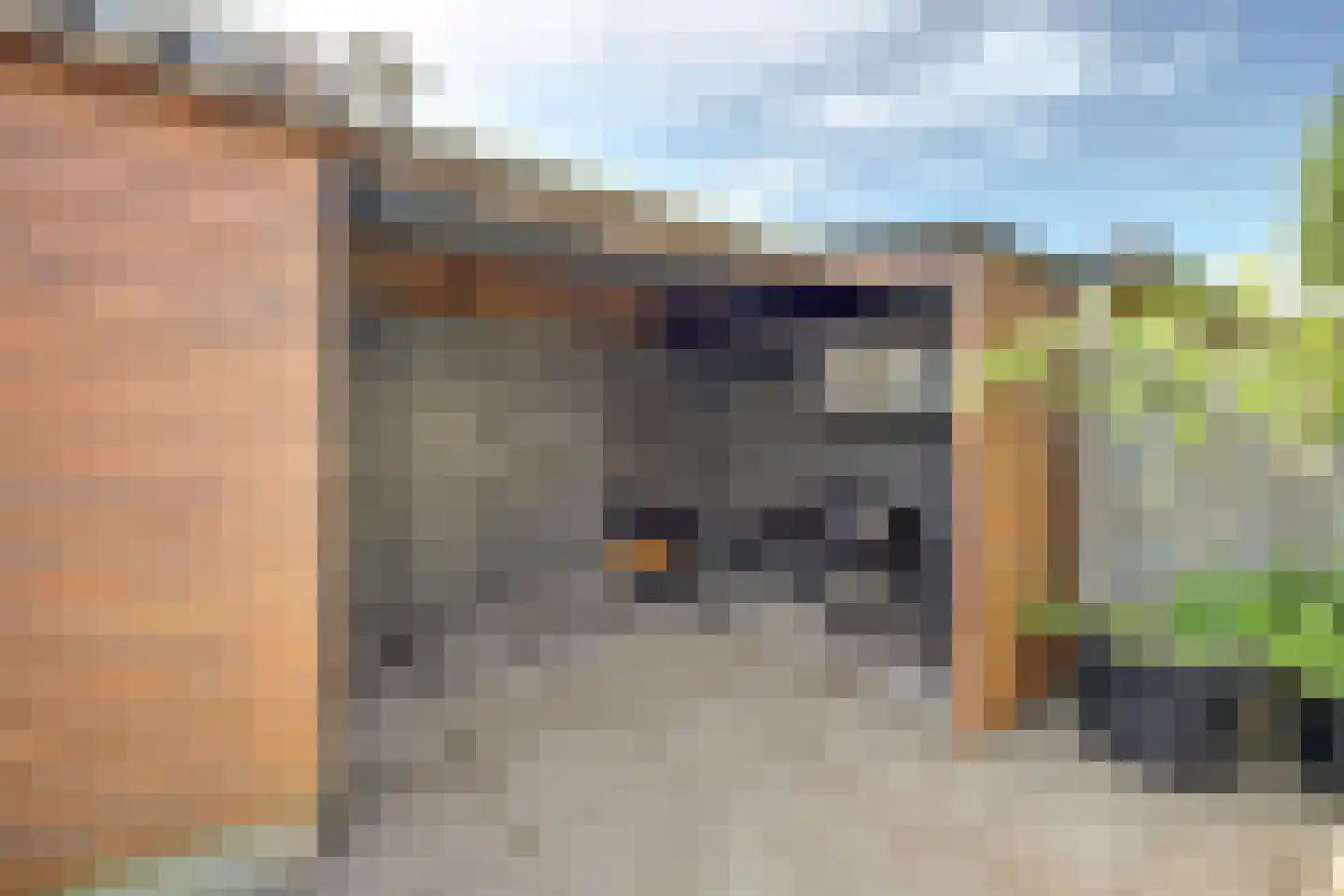 Steurweg 21 Hoogvliet Rotterdam thumbnail 30